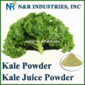 Powder Form Kale Powder 80 to 200mesh and Steam Sterilization and Supply other vegetable Powders